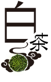 白茶 白茶