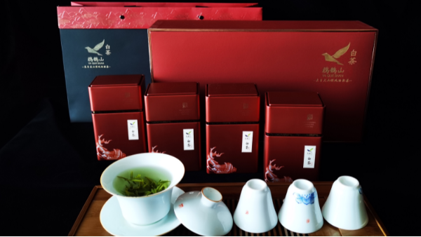 茶人必去的朝圣之地，种植寿宁高山茶的那个地方 【鸦鹊山】