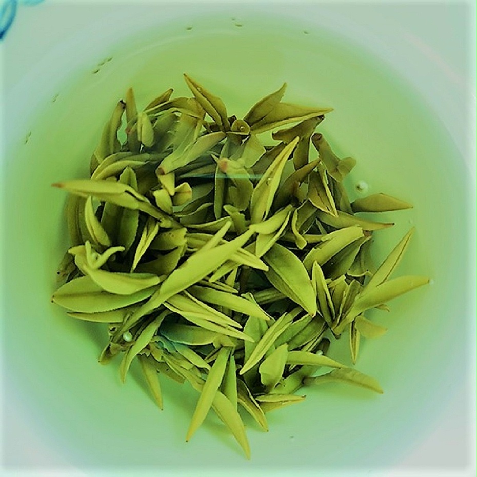 1206云雾茶4