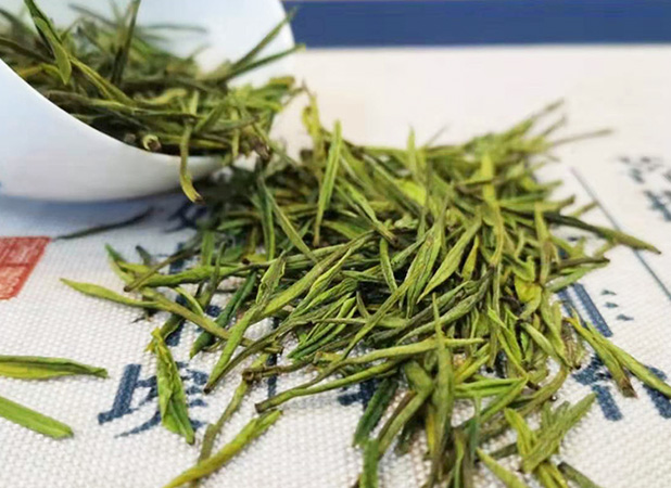 哪里云雾茶好喝？好茶 喝的出来！【鸦鹊山】
