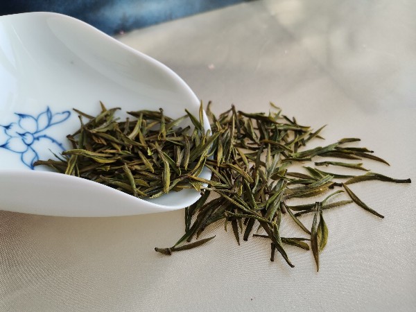 为什么高山茶比低山茶要苦?是买到假货了吗？【鸦鹊山】