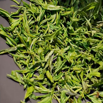 高山茶