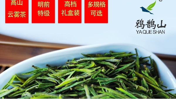 哪里的高山茶叶最好？北纬三十度黄金产茶区【鸦鹊山】