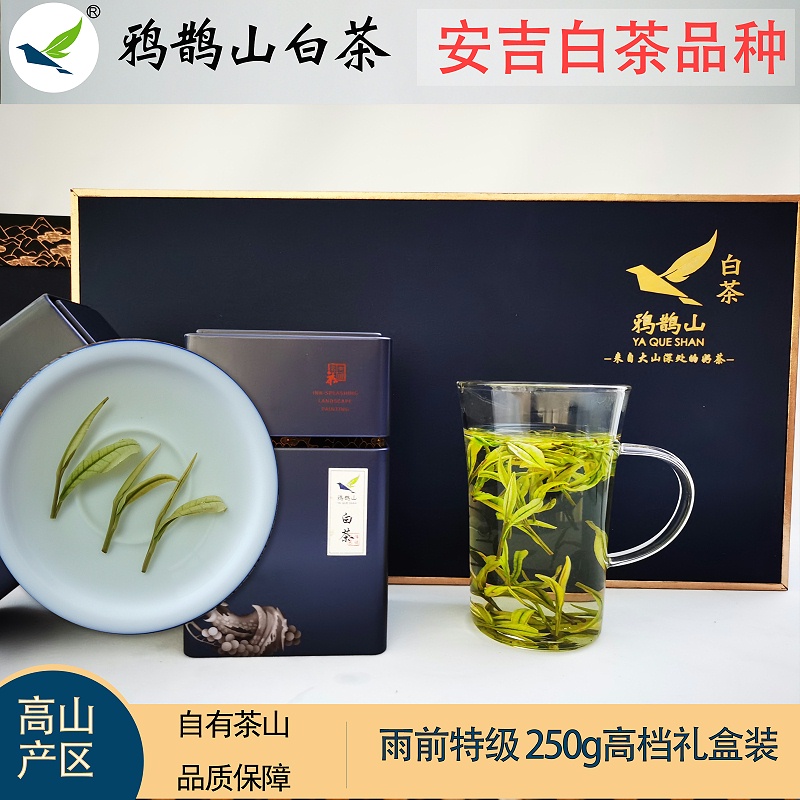 750雨前特级云雾茶水