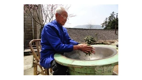 云雾茶非物质文化遗产：传承千年不减真味【鸦鹊山】