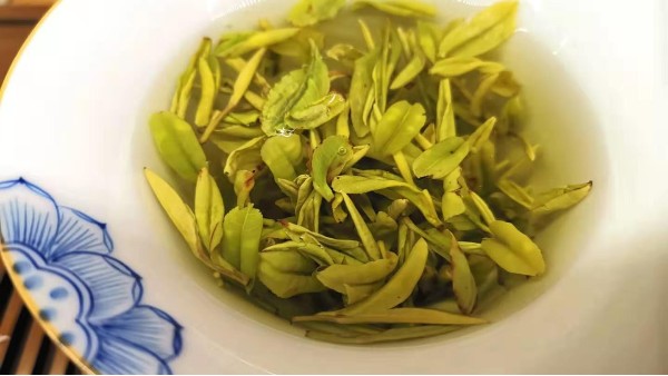 黄金芽茶的冲泡前用不用洗茶？洗茶有什么意义【鸦鹊山】