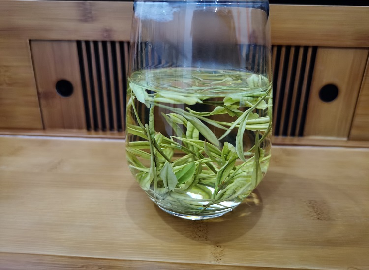 高山茶放几克？好茶难得需细品【鸦鹊山】