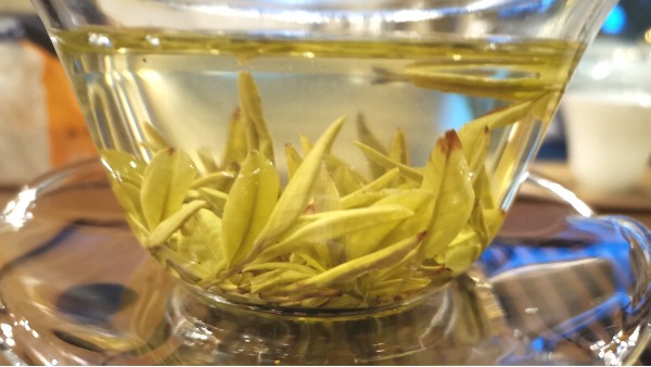 黄金茶是发酵茶吗？不发酵茶有什么优势？【鸦鹊山】