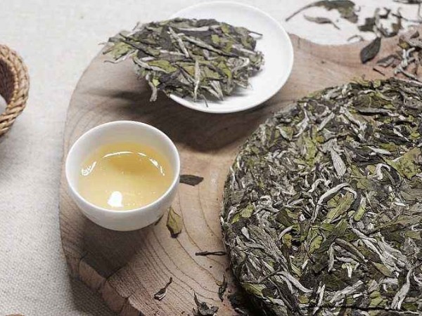 福鼎高山茶怎么储存？发酵茶恒温储存为上佳【鸦鹊山】