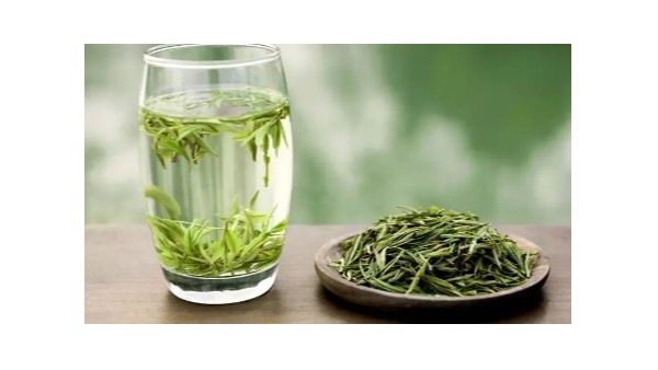 高山云雾茶泡了下沉快？下沉快慢有什么说法【鸦鹊山】