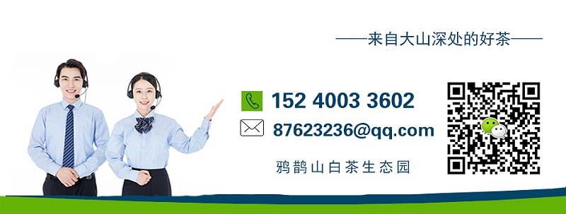  常喝黄金茶既能补充水分和必要的营养物质，所以说何乐而不为呢？更何况黄金茶滋味鲜爽，生津快，颜值高迎合女性的口感和喜欢美丽东西的心理，鸦鹊山黄金茶滋味醇爽、回甘好，韵味悠长，精美包装可送人也可自饮，而且鸦鹊山是自有茶山位于安徽旌德山区，环境好茶叶品质高，厂家直销，消费获得更多实惠！