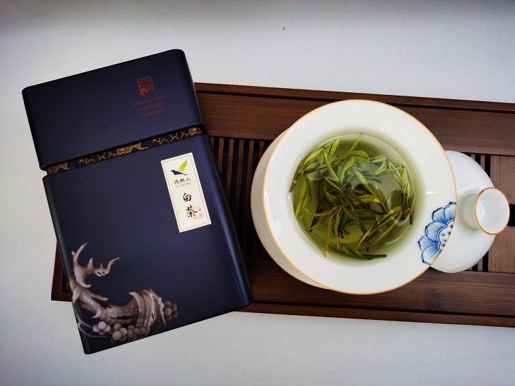春茶求“早”不如求“好”