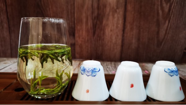 云雾茶春茶价格？春季送礼选茶正合适！【鸦鹊山】