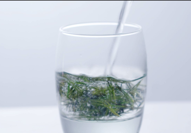高山茶海拔多少米品质好？