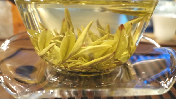 黄金芽含有茶黄素吗？茶黄素有什么功效？【鸦鹊山】