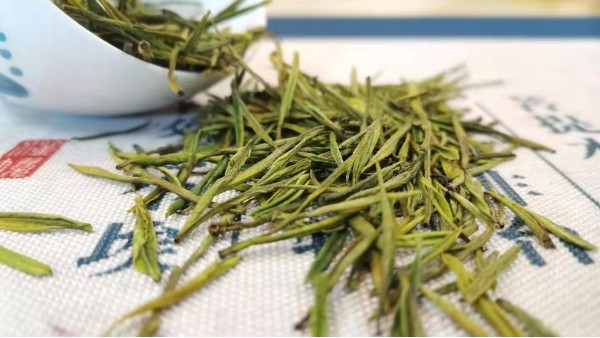 雨前绿茶云雾茶：过年你确定不给长辈买点好茶吗？【鸦鹊山】