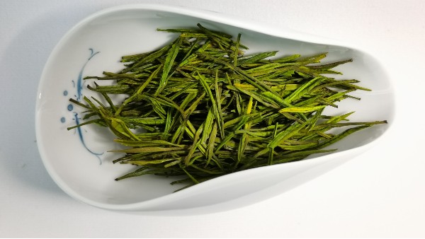 连云港云雾茶能冷冻吗？保持在0度到5度储存效果更好！【鸦鹊山】