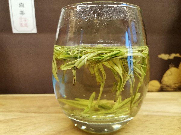 安吉白茶茶叶罐礼盒 过年好礼送亲朋！【鸦鹊山】