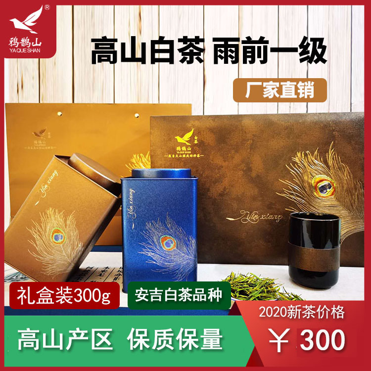 海拔600米的高山茶叶，高山茶好在哪里？【鸦鹊山】